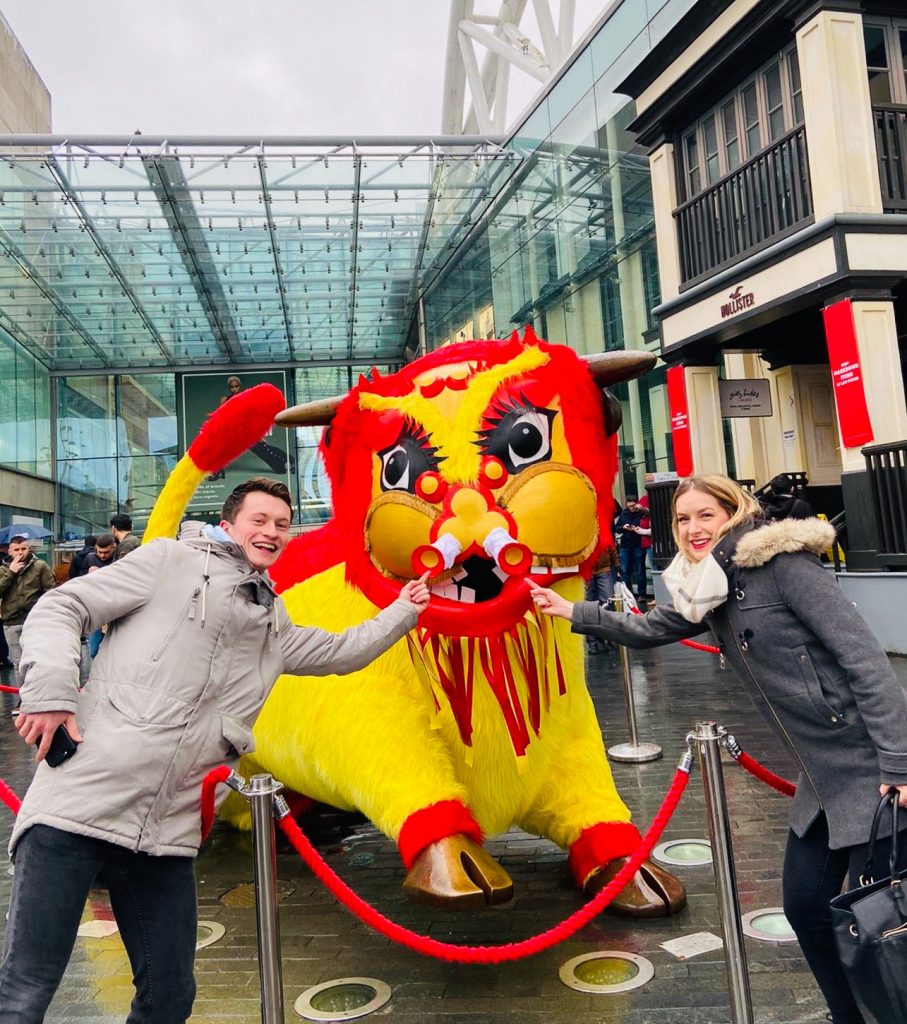 Birmingham Bull dressed for Chinese New Year